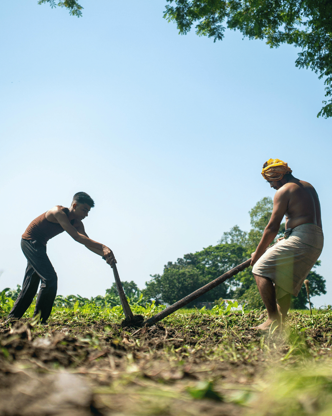 Farm landscape – AgriXpree